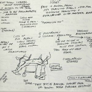 Schirmer Journal Sex Torture Training 2003